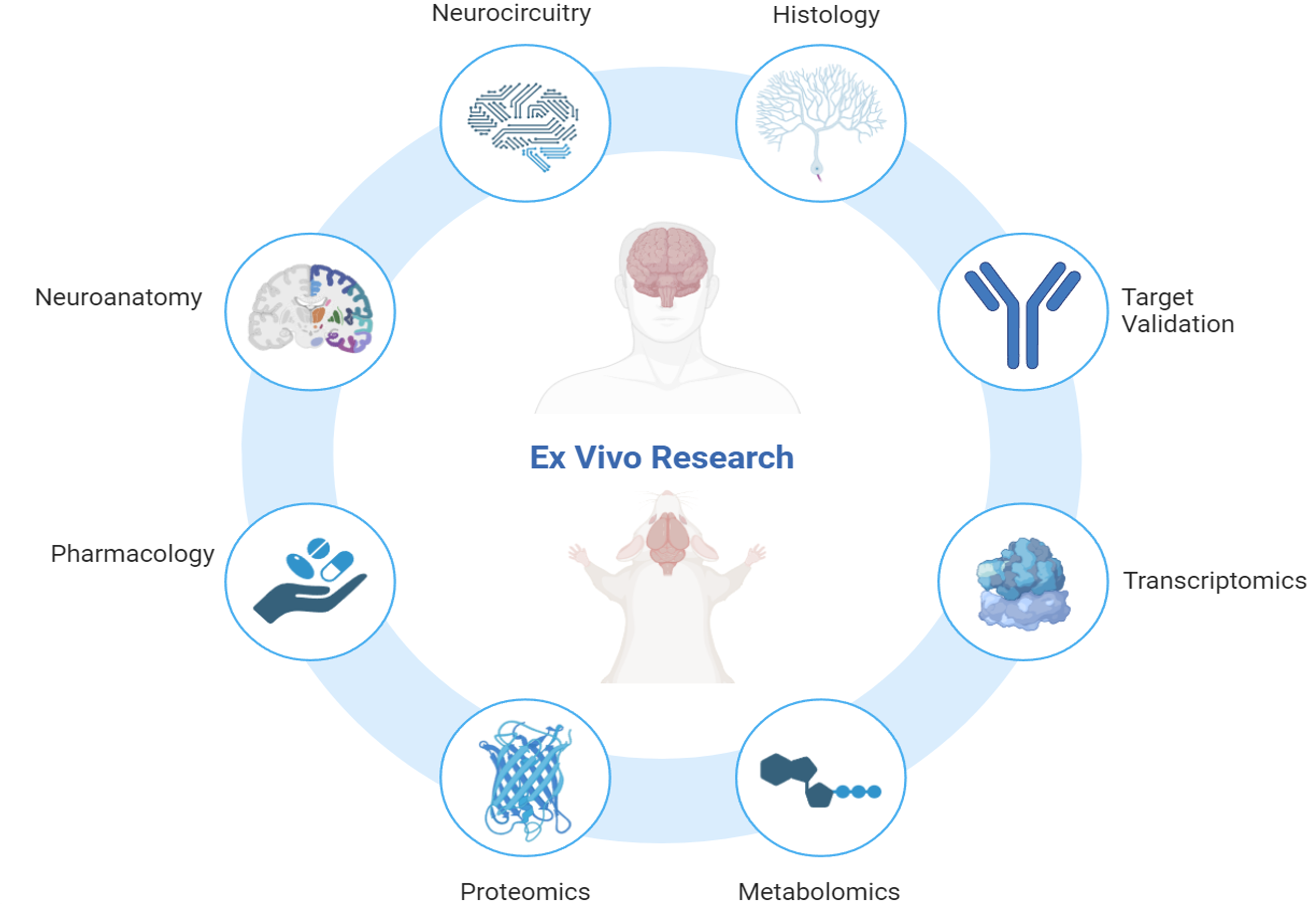 Connor’s Research Overview